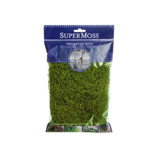 Spanish Moss Preserved Grass Green (55gm Bag)