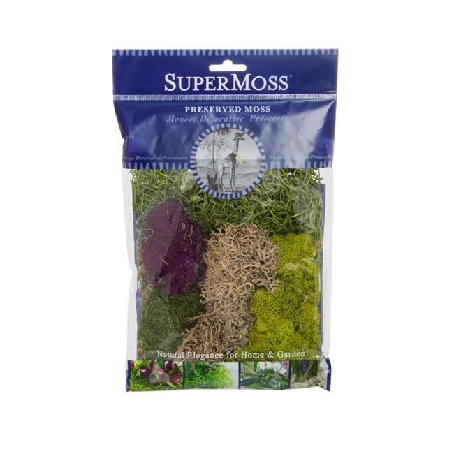Moss Mix Preserved Bag Moss Assorted Best Sellers (55gm Bag)