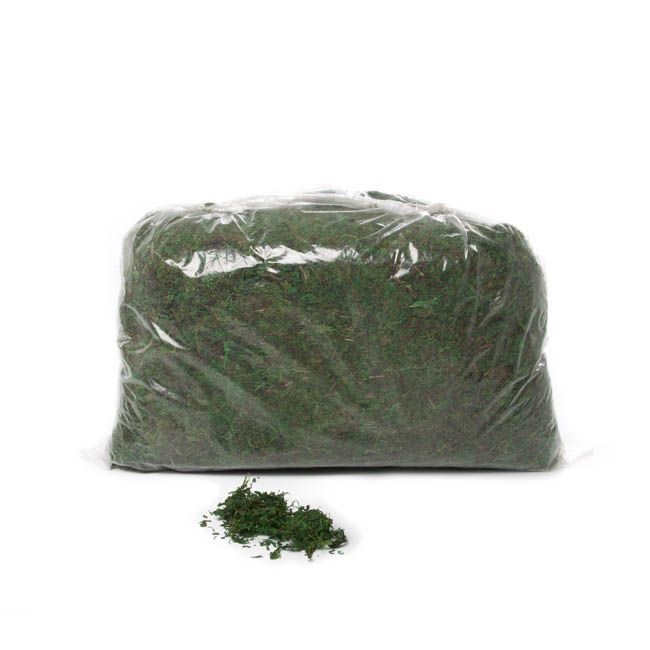 Preserved Artificial Moss Green (500gm Bag)