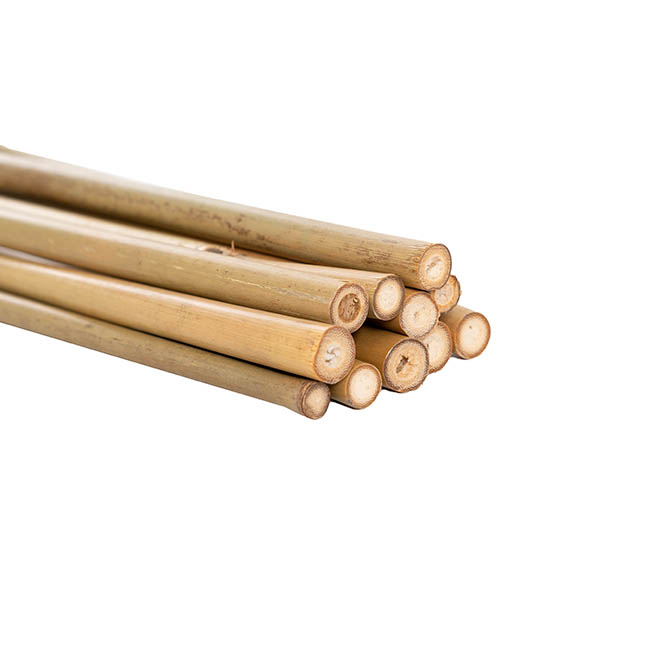 Bamboo Pole 6-8mm Pack 12 (60cm) Natural Dried