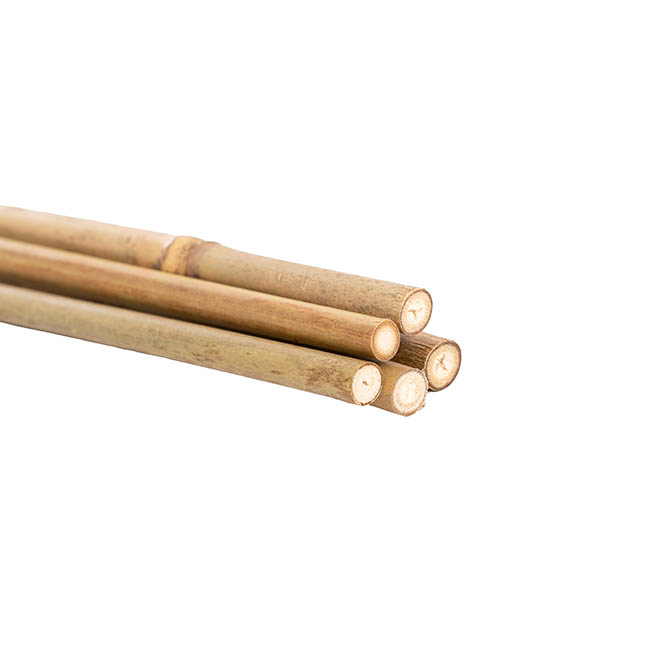 Bamboo Pole 10-12mm Pack 5 (105cm) Natural Dried