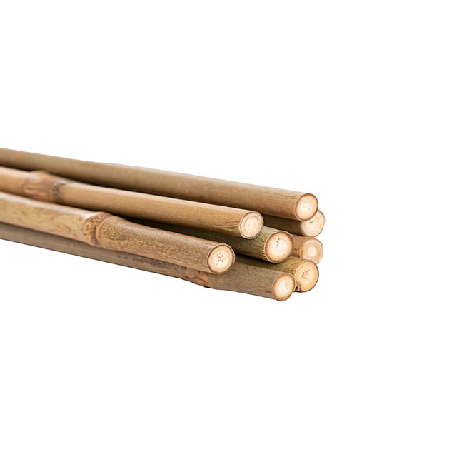 Bamboo Pole 7-9mmD Pack 8 (2mH) Natural Dried