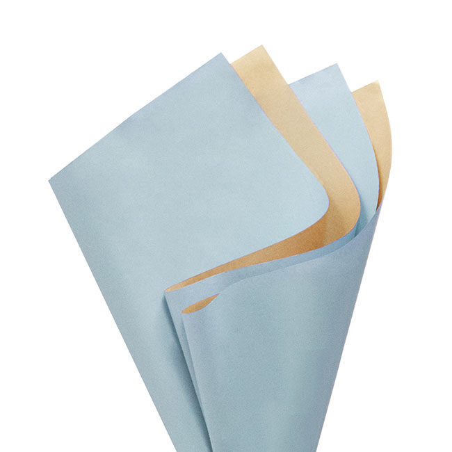 Kraft Paper Duo 60gsm Pack 100 French Blue Brown (53x76cm)