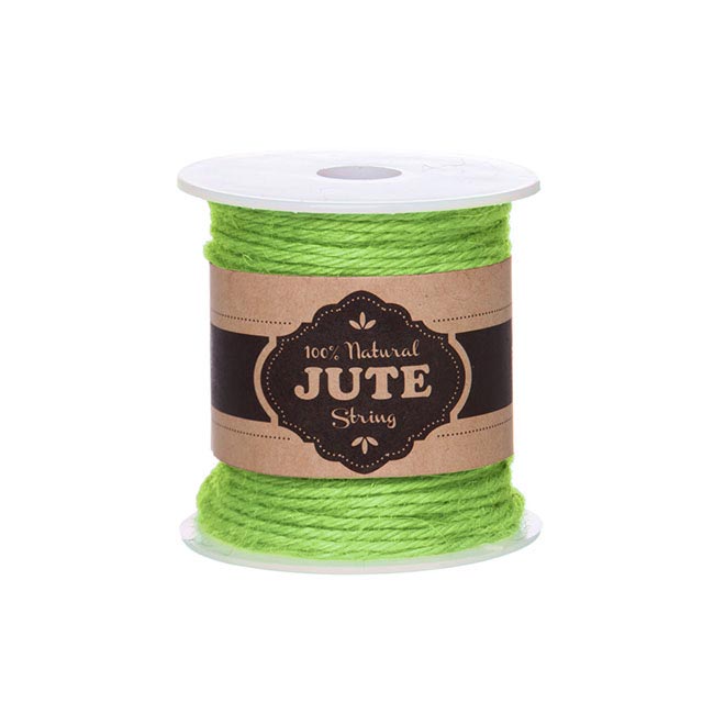 Natural Jute String 4ply 100g Lime (Approx 40m)