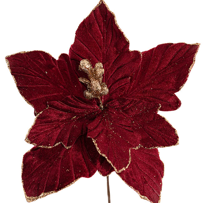 Poinsettia Pick Burgundy (23cmDx20cmH)