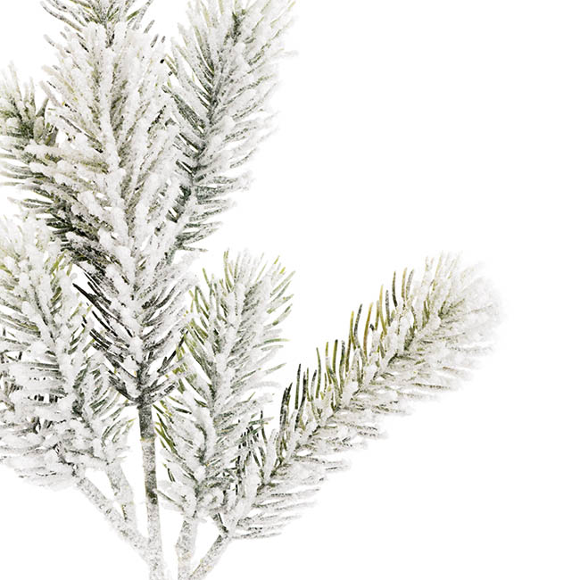 Snow Flocked Traditional Pine Pick White (36cmH)