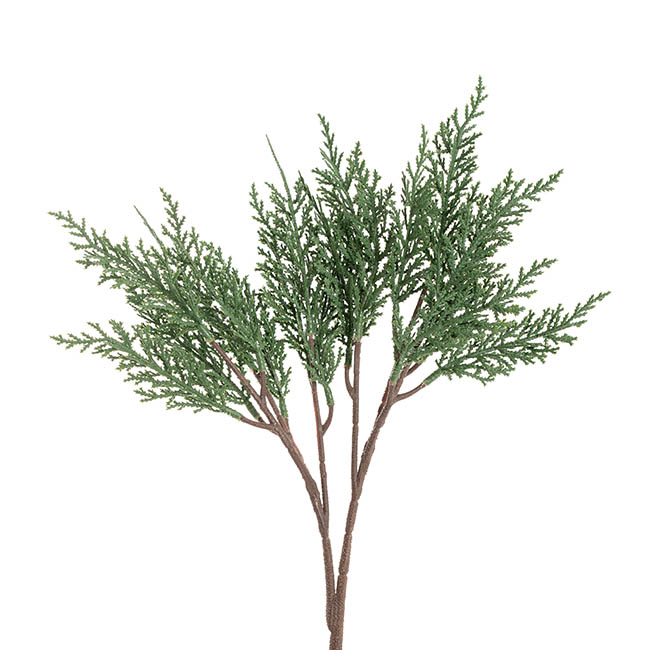 Cypress Pine Spray Green (40cmH)