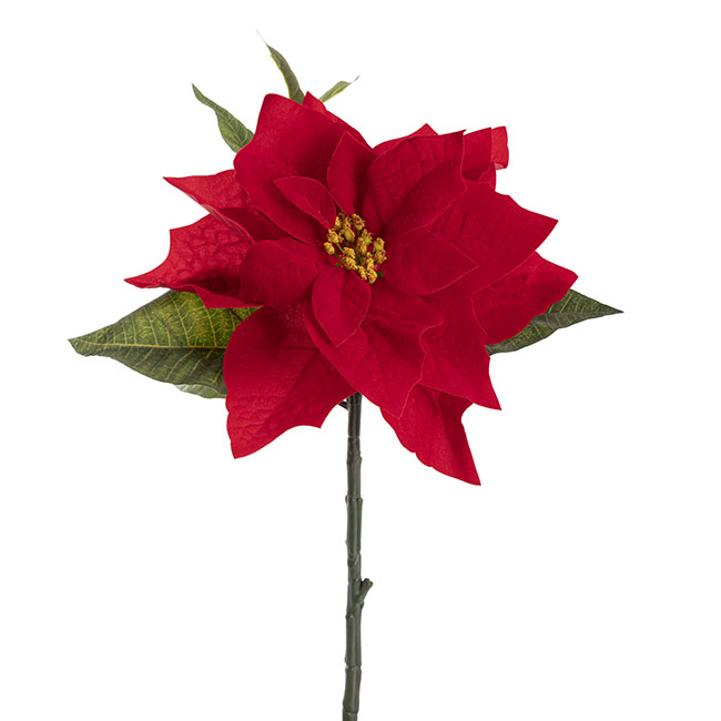 Poinsettia Short Stem Red (25cmDx43.5cmH)