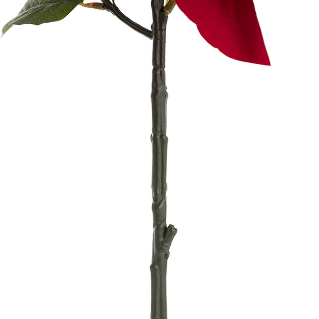 Poinsettia Short Stem Red (25cmDx43.5cmH)