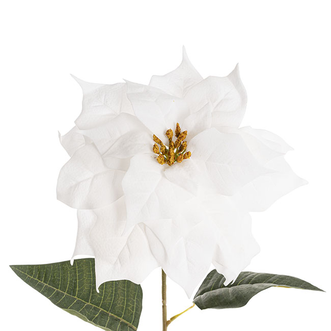 Poinsettia Long Stem White (25cmDx72cmH)