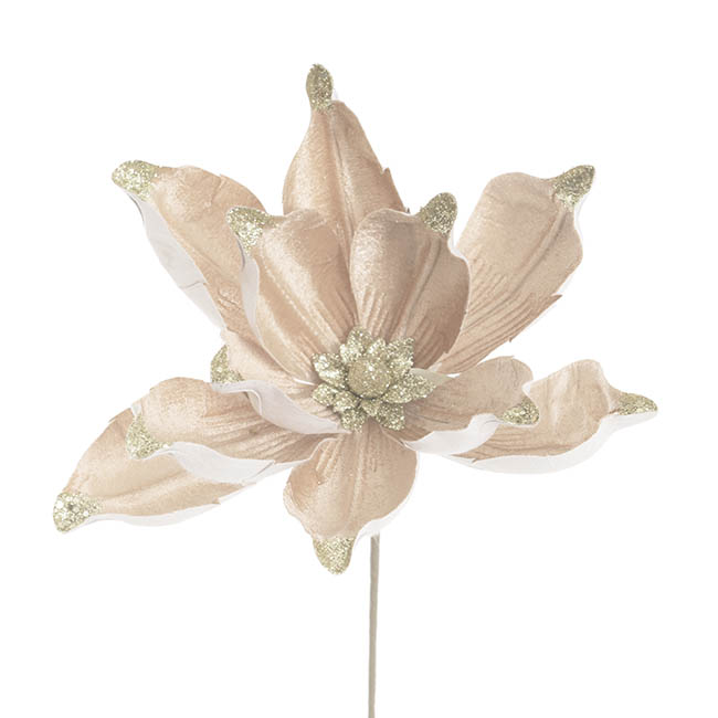Magnolia Flower Pick Pack 3 Champage (30cmH)