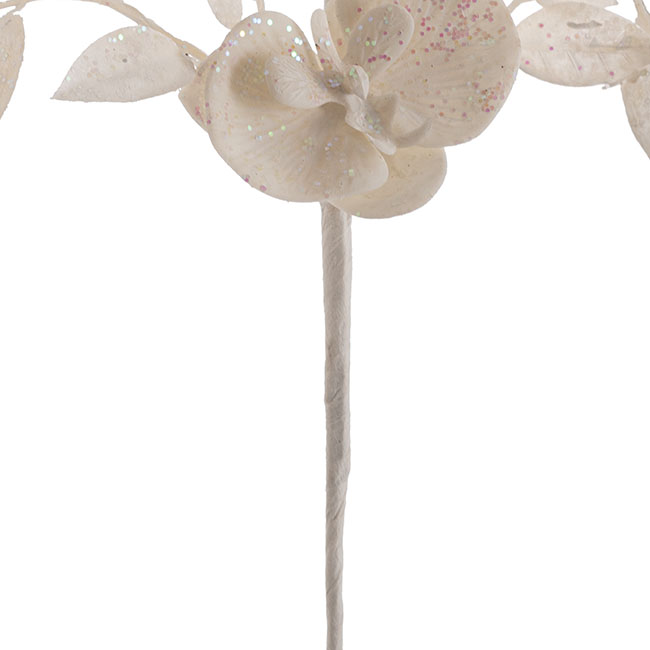 Glitter Orchid & Leaf Spray White (66cmH)