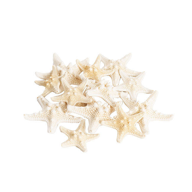 Starfish Decoration Small Natural (32pcs Per Jar)