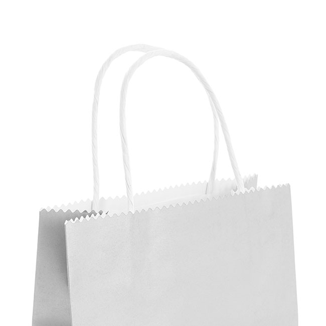 Kraft Paper Bag Shopper Medium Silver Pk10 (180Wx85Gx215mmH)