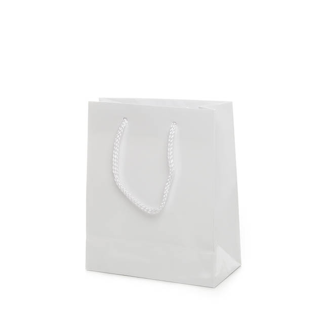 Paper Bag Gloss Shopper Extra Small White (180Wx85Gx215mmH)