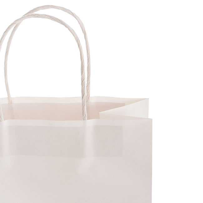 Kraft Paper Bag Shopper Small White Pk10 (180Wx85Gx215mmH)