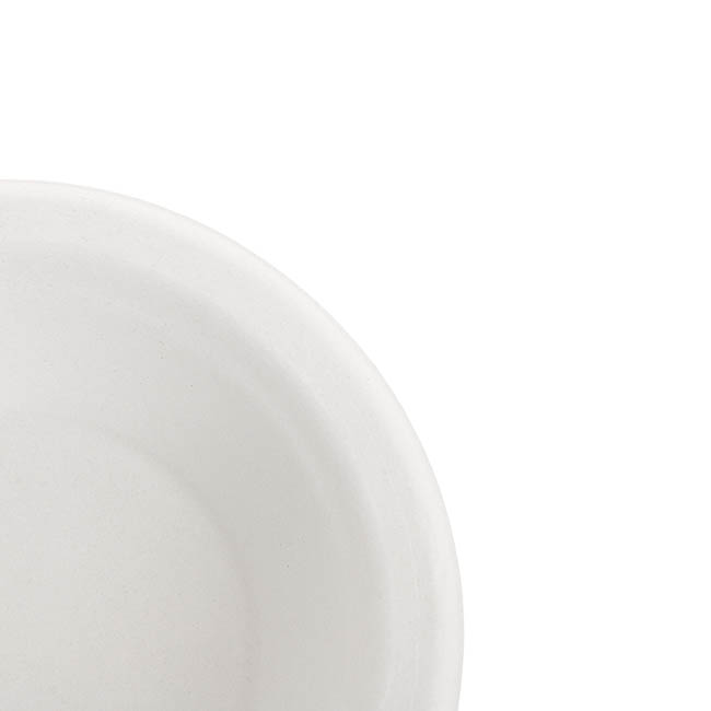 Sugarcane Lunch Plate White (18cm) Pack 50