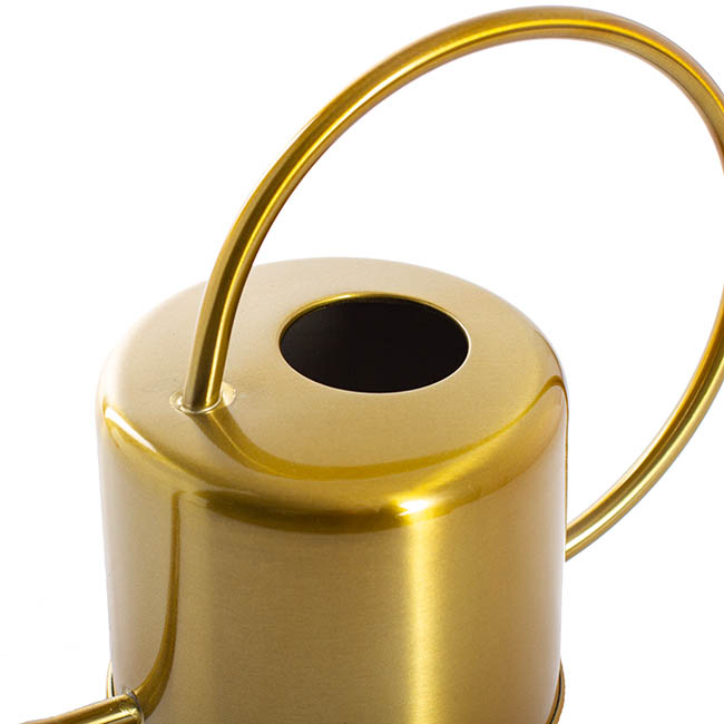 Watering Can Stainless Steel Gold (38x13x19.5cmH)