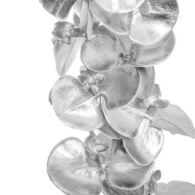 Phalaenopsis Orchid 9 Flowers Metallic Silver (75cmH)