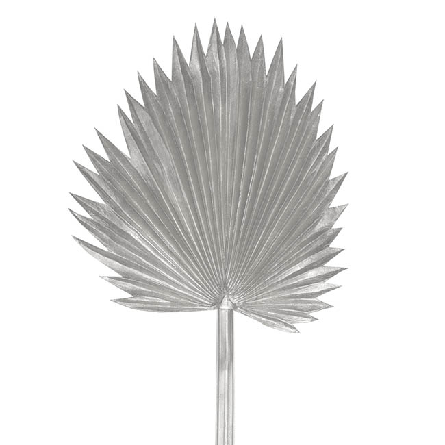 Fan Palm Stem Metallic Silver (92cmH)