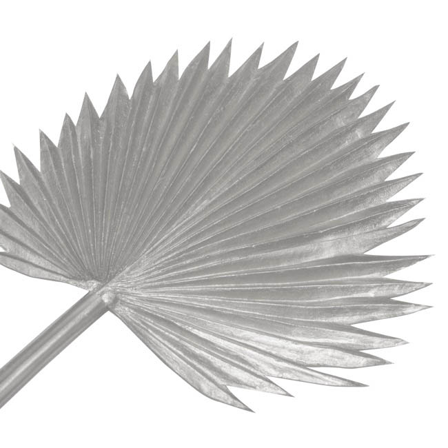 Fan Palm Stem Metallic Silver (92cmH)