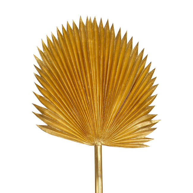 Fan Palm Stem Metallic Gold (116cmH)