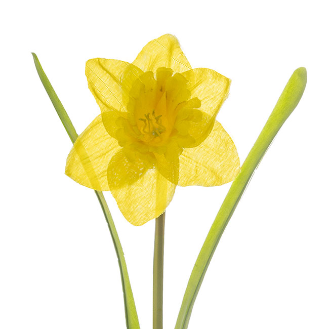 Daffodil Flower Stem Yellow (36cmH)