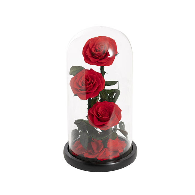 Enchanted Eternal Rose 3 Stem Cloche Red (30x15cm)