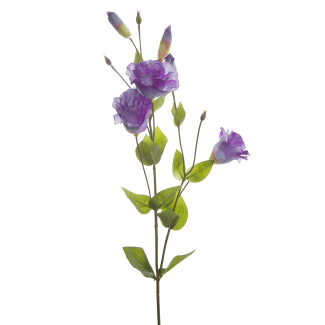 Lisianthus Spray Purple (89cmH)