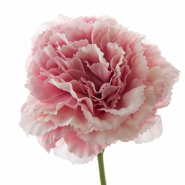 Carnation Ruffle Stem Light Pink (9cmDx42cmH)