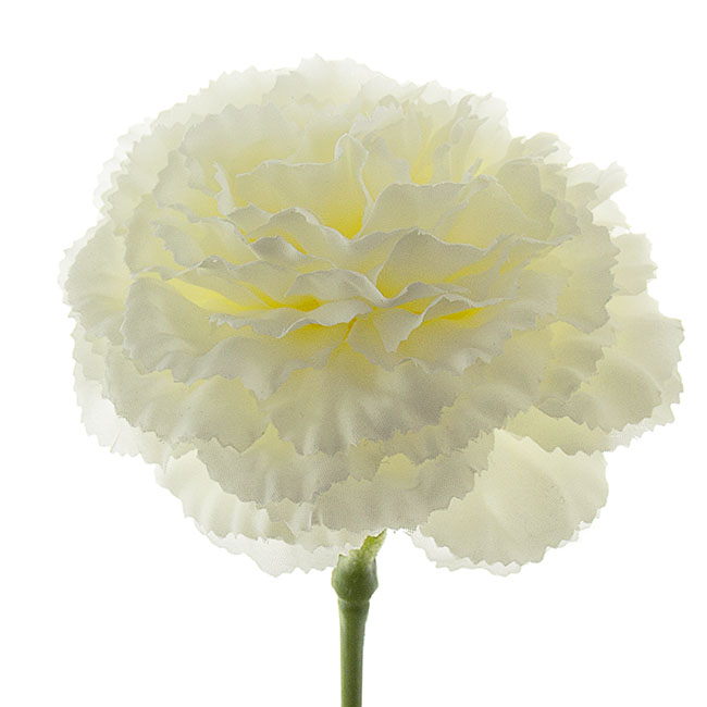 Carnation Ruffle Stem White (42cmH)