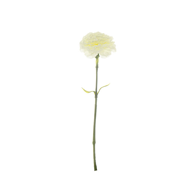 Carnation Ruffle Stem White (42cmH)