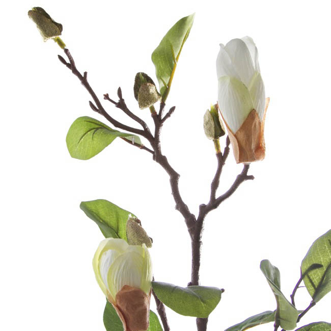 Magnolia Bud Spray x2 Cream (71cmH)