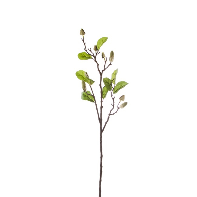 Magnolia Bud Spray x8 Green (71cmH)