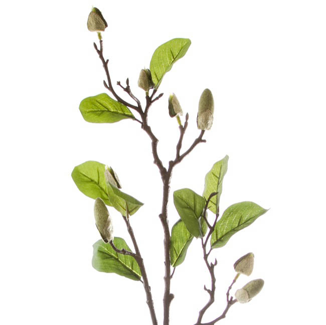 Magnolia Bud Spray x8 Green (71cmH)