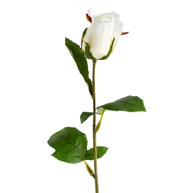 Siena Silk Rose Bud White (66cmH)