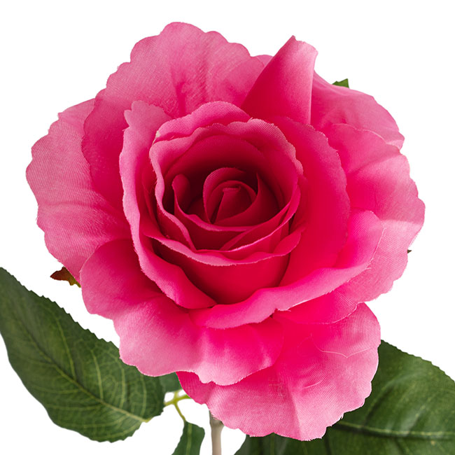 Siena Silk Rose Open Hot Pink (67cmH)