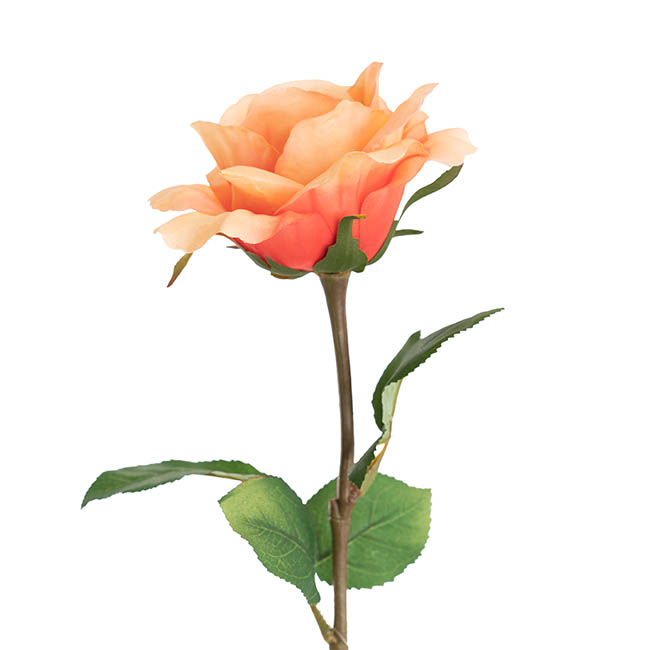 Siena Silk Rose Open Peach (67cmH)