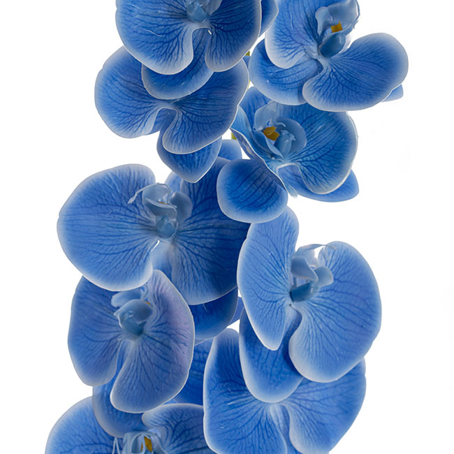 Phalaenopsis Orchid 3D Real Look 9 Flowers Blue (100cmH)