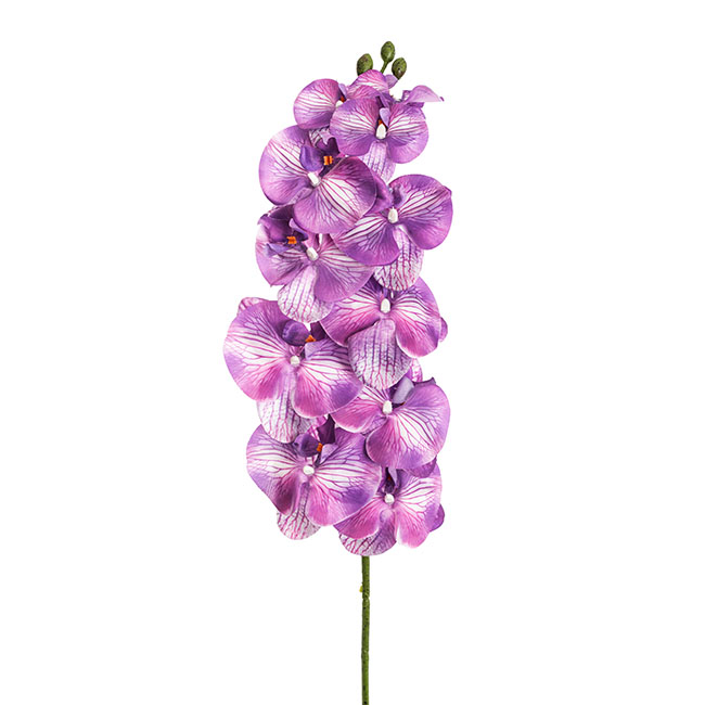 Phalaenopsis Orchid 3D Real Look 11 Flowers Purple (105cmH)