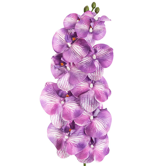 Phalaenopsis Orchid 3D Real Look 11 Flowers Purple (105cmH)