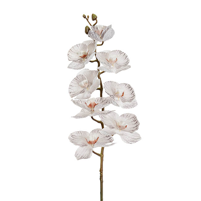 Phalaenopsis Orchid 3DReal Touch 8Flowers White Grey (77cmH)