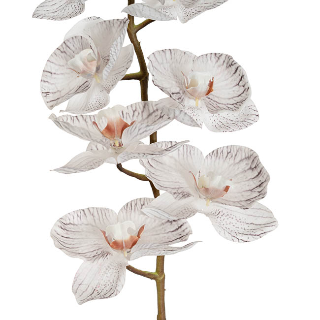 Phalaenopsis Orchid 3DReal Touch 8Flowers White Grey (77cmH)