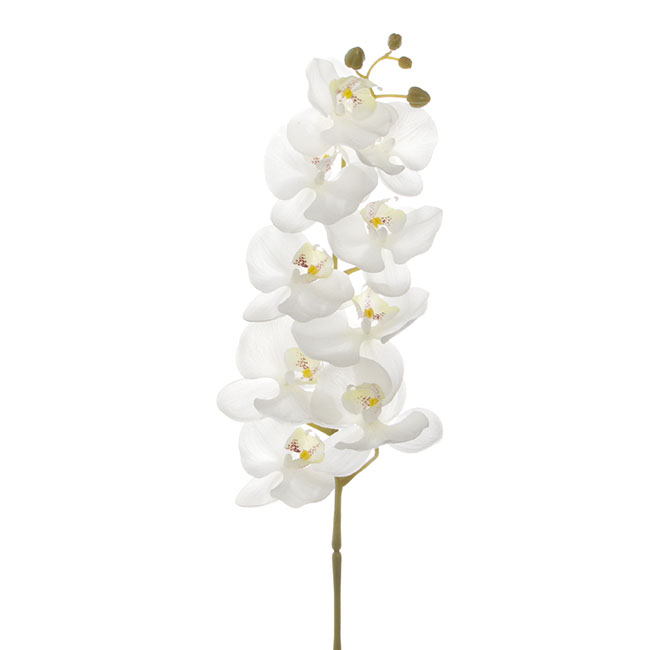 Phalaenopsis Orchid Real Touch 9 flowers White (100cmH)