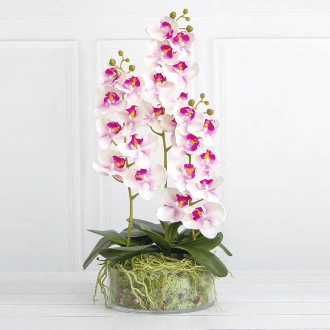 Phalaenopsis Orchid Real Touch 8 Flowers Pink (97cmH)