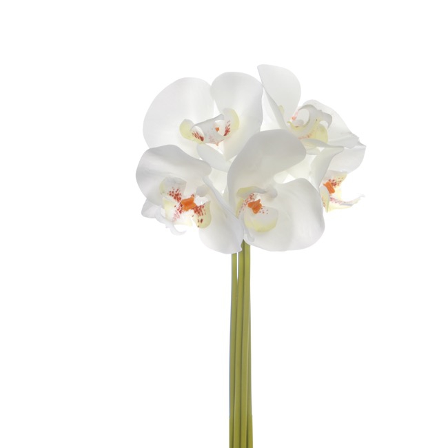 Phalaenopsis Orchid Bouquet Real Touch 6 Flowers White 29cm