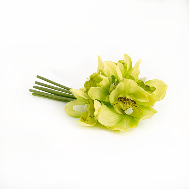 Cymbidium Orchid Bouquet Real Touch 6 Flowers Green (25cmH)