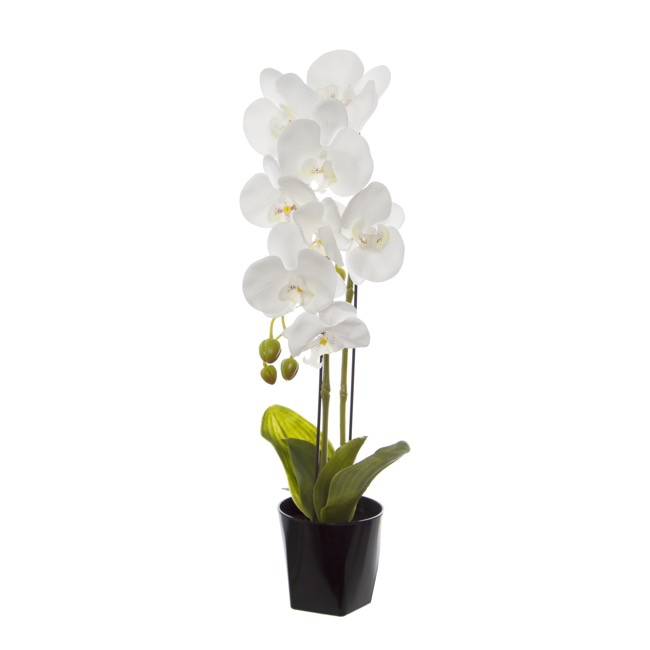 Phalaenopsis Orchid Potted Real Touch 7 Flowers White (65cm)