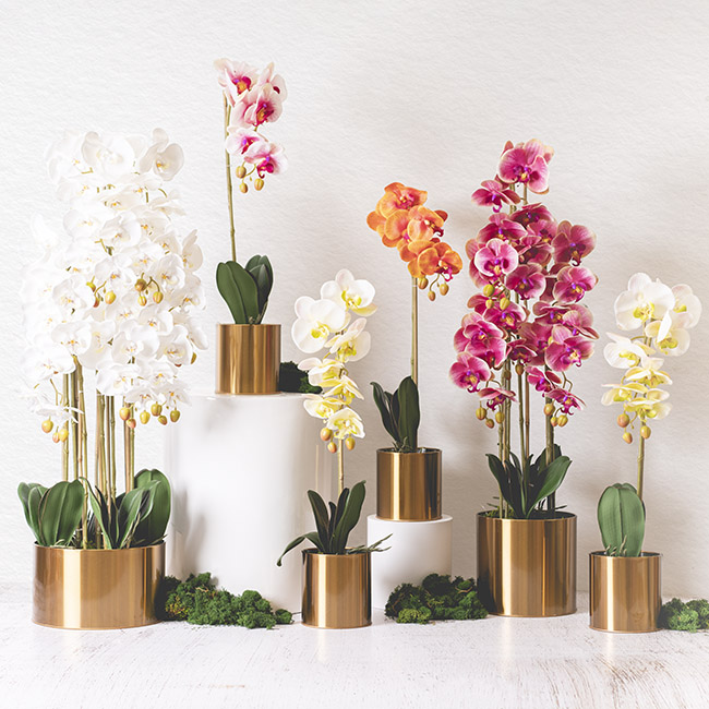 Artificial Orchid Pot Plant Single Stem White Pink (60cmH)