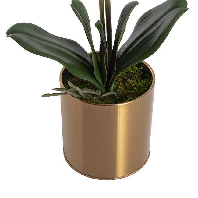 Artificial Orchid Pot Plant Single Stem White Pink (60cmH)
